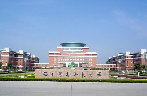校園風(fēng)光