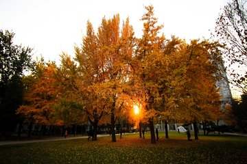 校園風(fēng)采