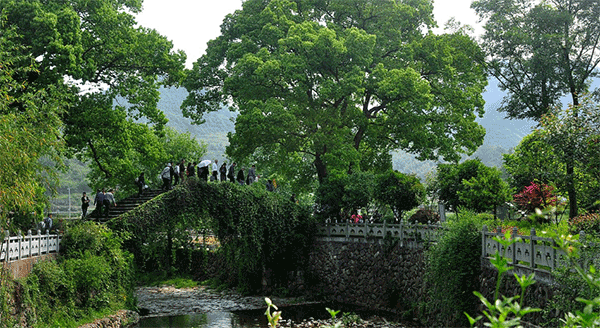 感受美麗鄉村，發展綠色鐵路——太原局集團公司青年公務人員培訓班心得體會